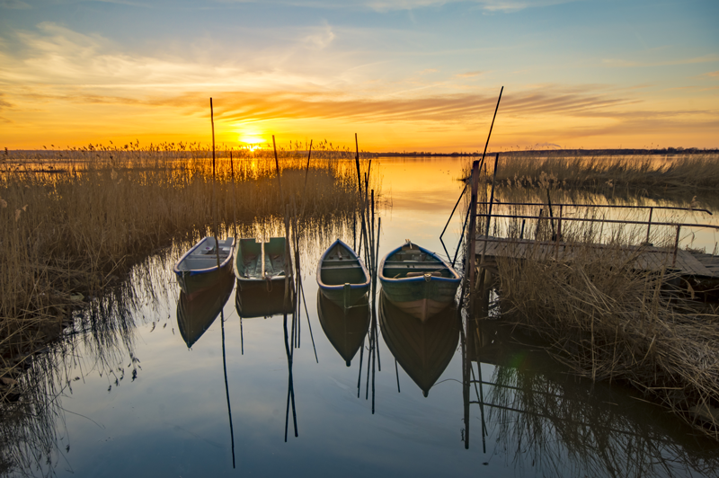 COBITFoundation_Bild Bild von Ruderbooten im Sonnenuntergang als Sinnbild für einen Grundlagenkurs COBIT5 Foundation bei ITSM Partner