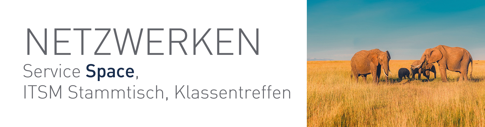 Wir sind DIE ITIL Pioniere in Österreich - wir bieten Consulting und Kurse